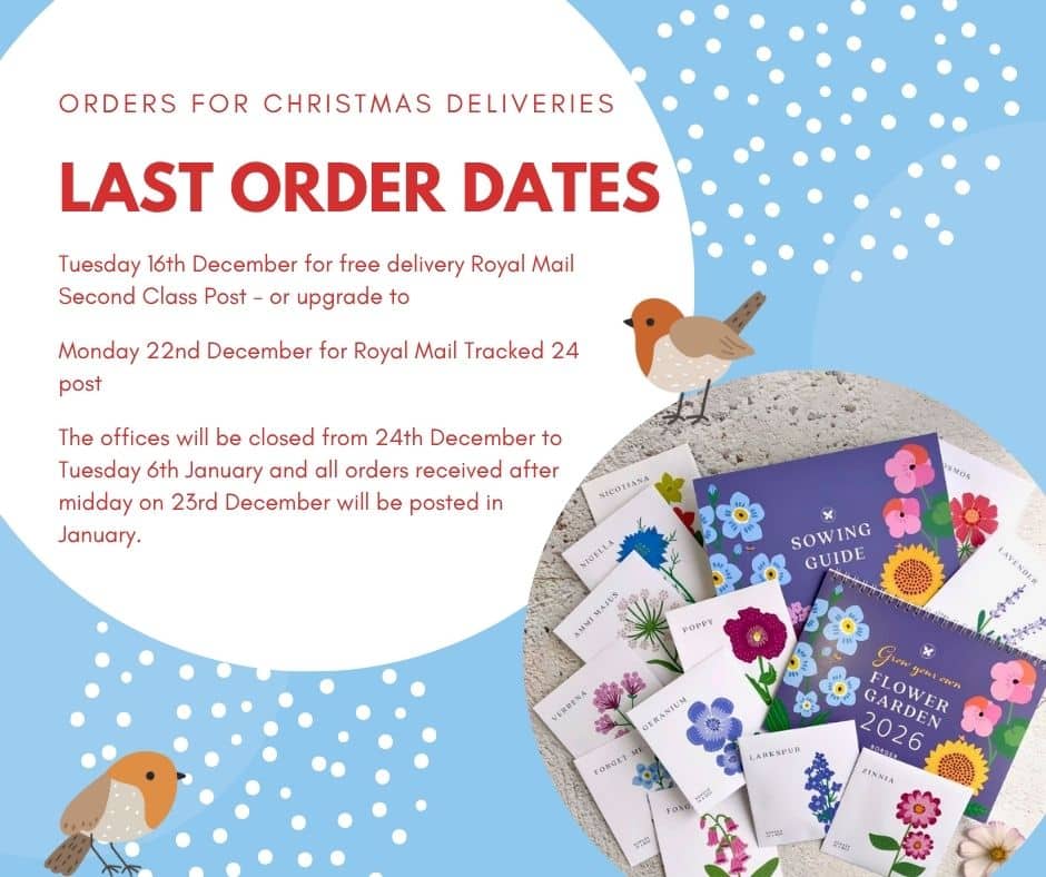 last posting dates for christmas 2025