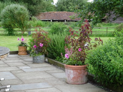 patio pots in a large garden