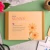 sunny version border in a box garden design kit