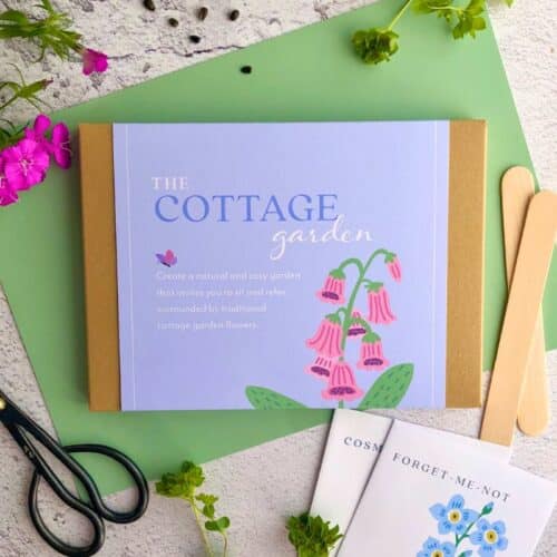 cottage garden version border in a box ready made garden kit