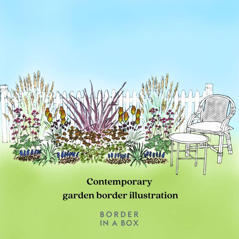 Contemporary garden border illustration by Border in a Box