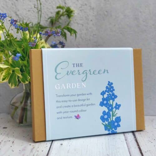 Evergreen Border in a Box version front cover