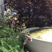 border in a box geum water feature