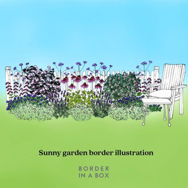 Sunny garden border design kit by Border in a Box