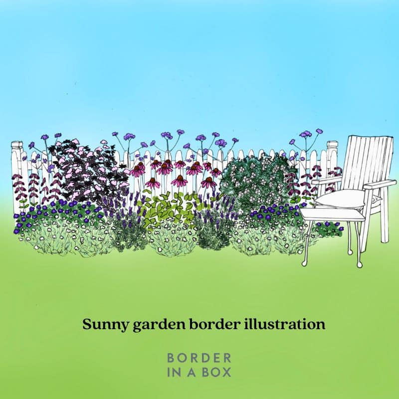 sunny garden border illustration by border in a box