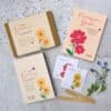 sunny version border in a box contents book and seeds