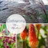 contemporary mini moodboard flowers