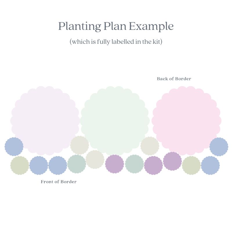 planting plan example coloured circles
