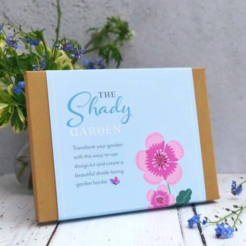 shady garden design kit with geranium flower illustration