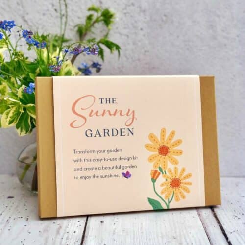 sunny border in a box front cover with calendula illustration