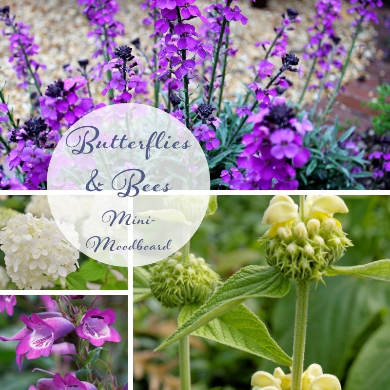 butterflies and bees flowers mini mood board