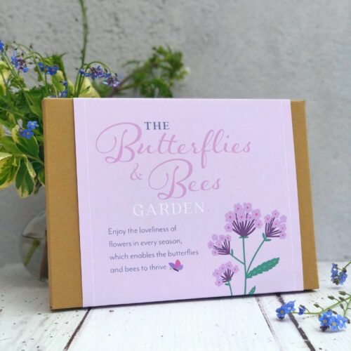 butterflies and bees border in a box front cover with verbena flower illustration