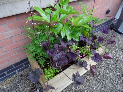 evergreen planted container