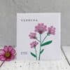 verbena bonariensis seed packet