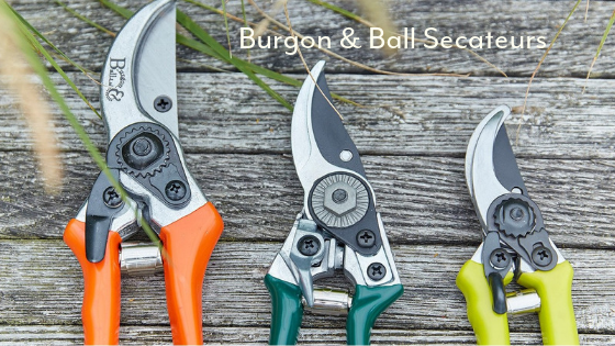 Burgon & Ball secateurs gardening tools