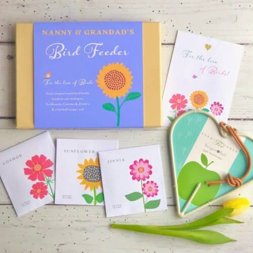 bird feeder gift box with flower seeds and heart shaped feeder