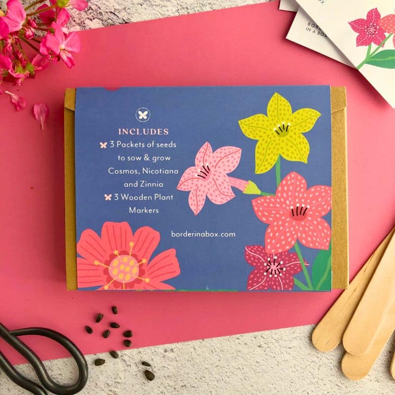 back of seed gift box 800 x 800 back of seed gift box 800 x 800