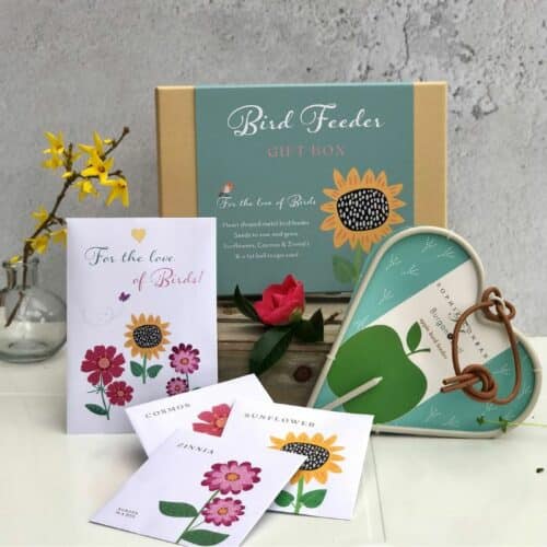 bird feeder gift box and flower seeds