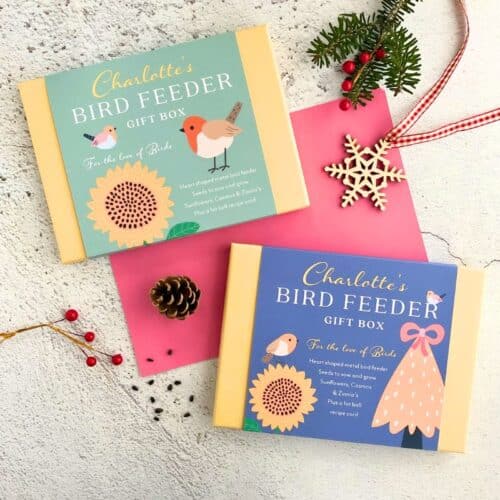 bird feeder gift box orignal and festive design