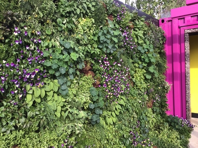 RHS Chelsea vertical garden