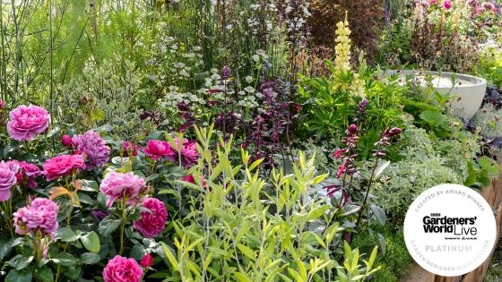 Border in a Box winning show garden at BBC Gardeners' World Live 2018