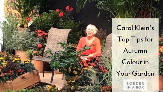 Carol Klein Top Tips for Autumn