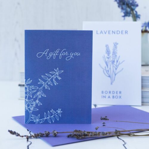 lavender seeds with gift card letterbox gift