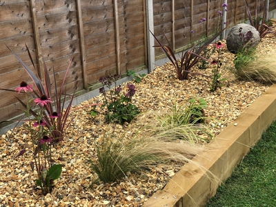 Gravel garden grasses phormiums