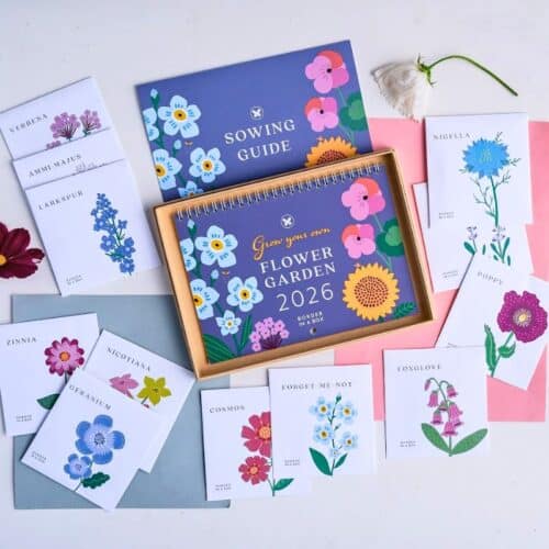 2026 flower seed calendar gift box and seed packets