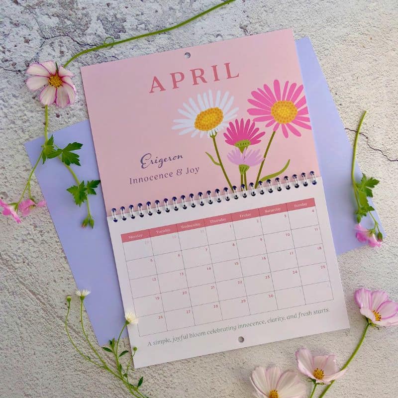 birth flower seed calendar April with erigeron daisy