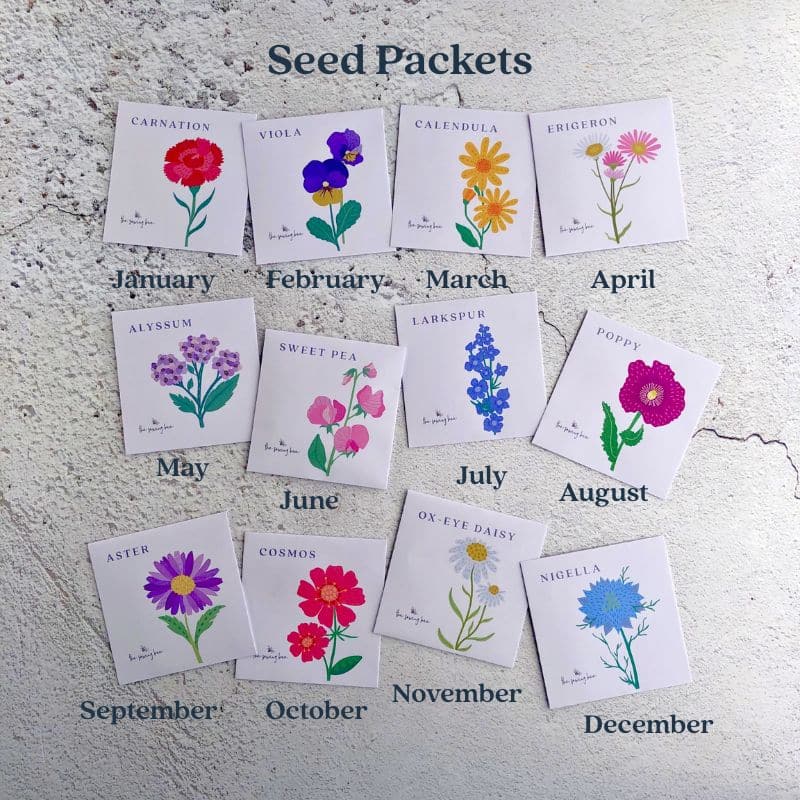 Birth Flower Seed Calendar 2027 SEED PACKETS (800 x 800 px)