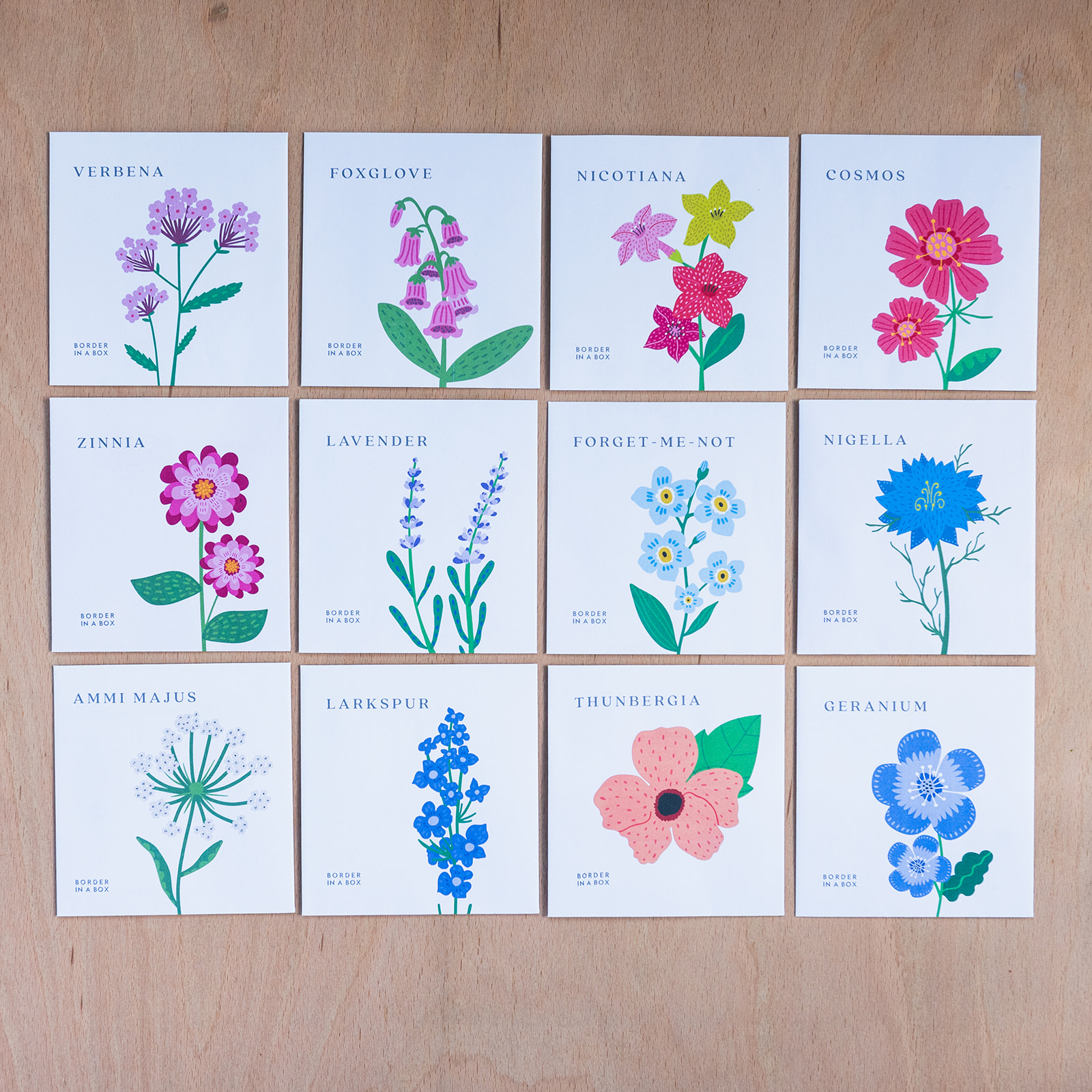 seed packets for flower seed calendar 2025