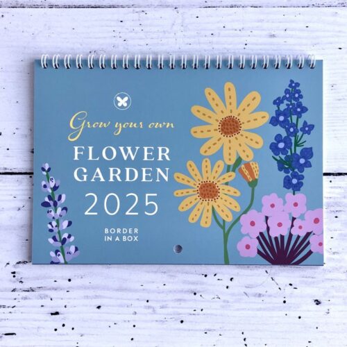 flower calendar front cover 2025 floral illustrations on blue background, wire bound