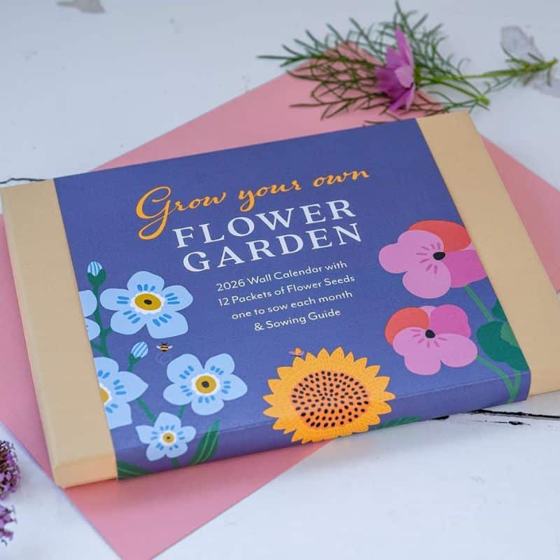 flower seed calendar gift box 2026