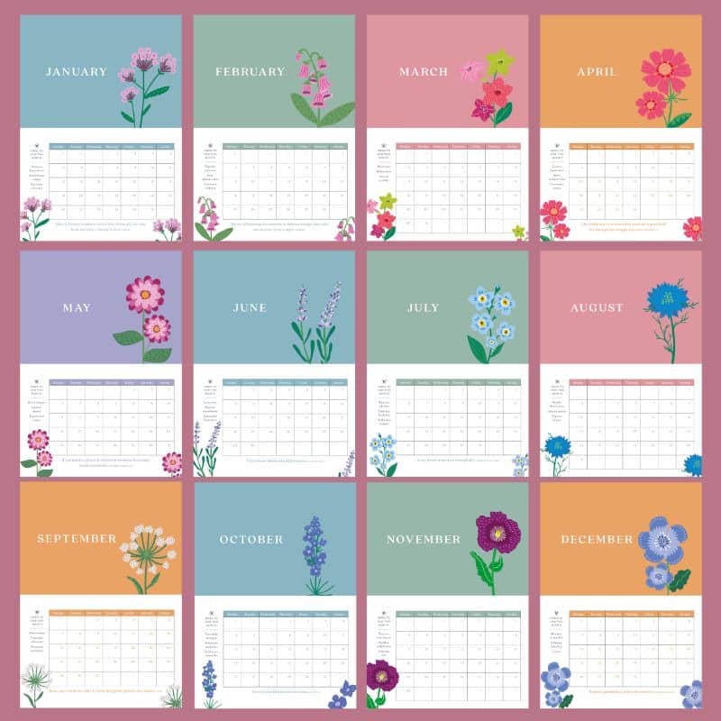 flower seed calendar montage 2026 800 x 800