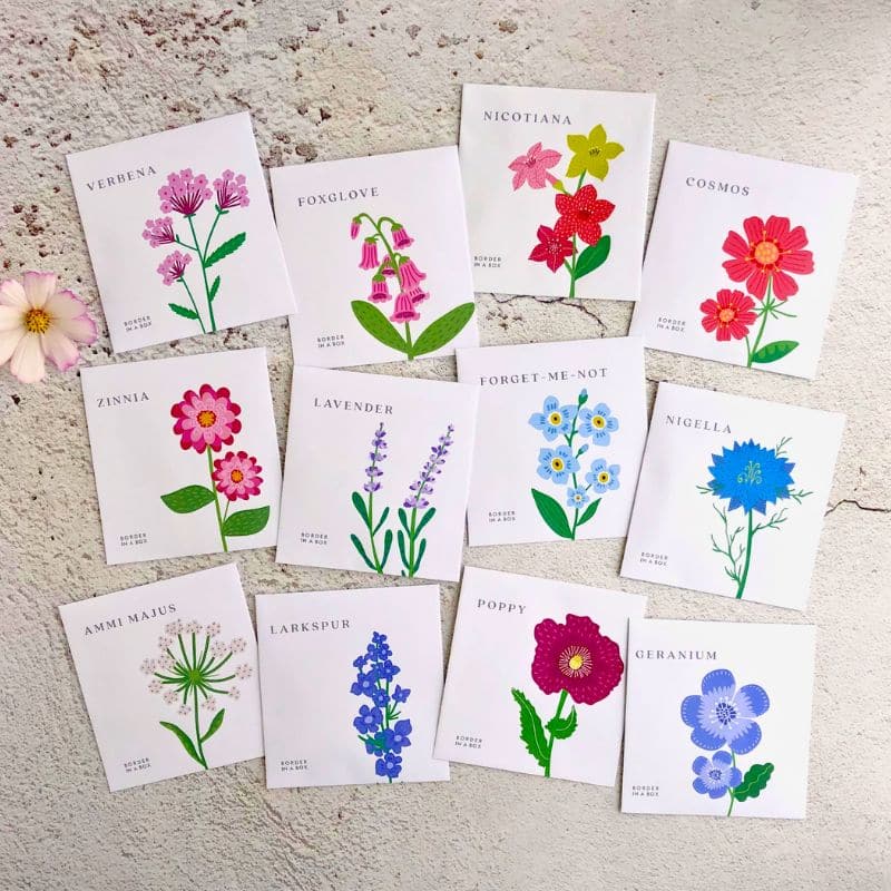 flower illustrated seed packets