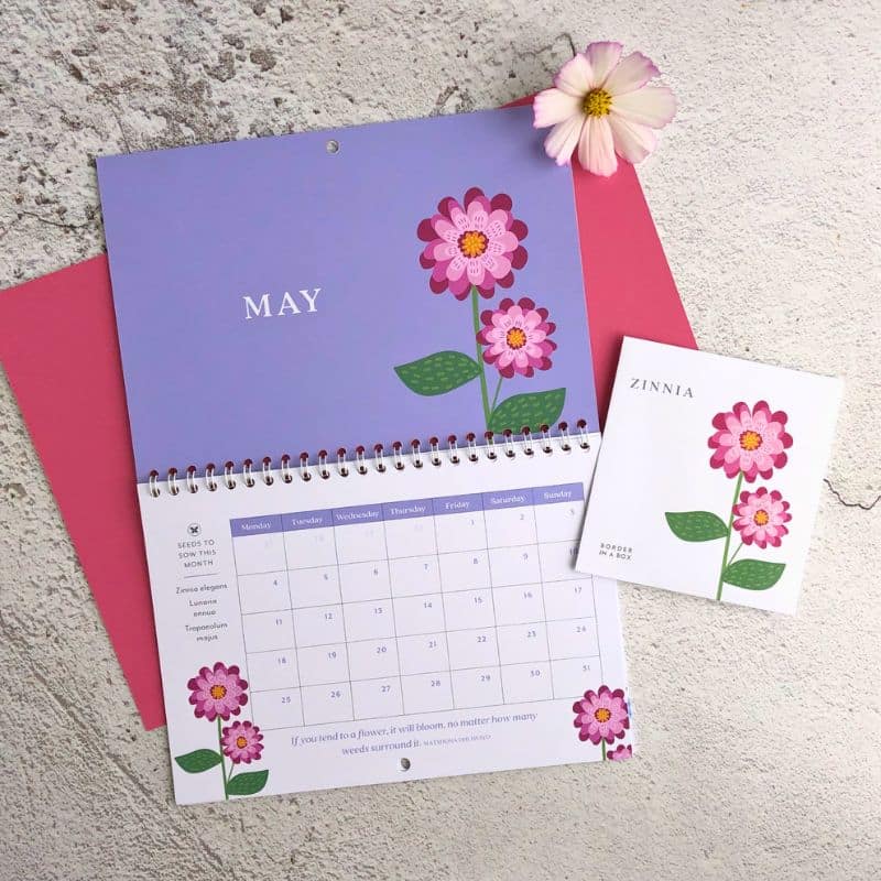 Flower seed calendar May 2026 with zinnia flower illustration