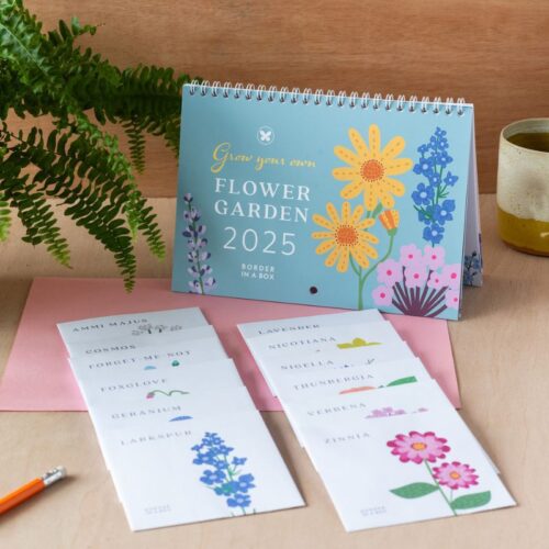 flower seed calendar front cover seed packets