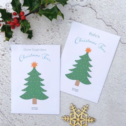 grow your own christmas tree seed packet with personalised option