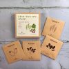 The Sowing Bee salad box seeds