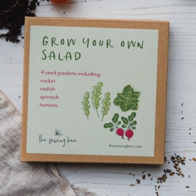 The Sowing Bee grow your own salad box