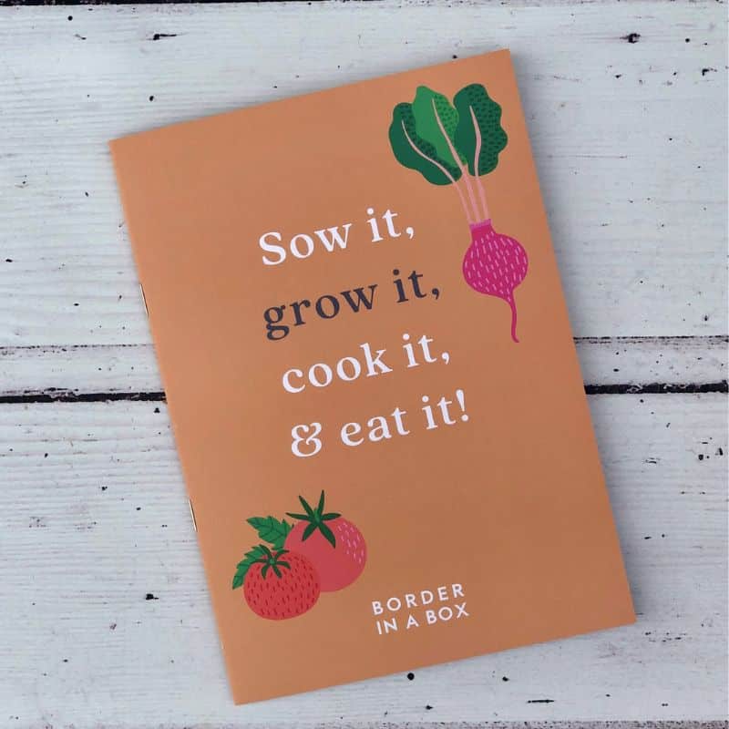 mini cookbook orange cover with vegetable illustrations