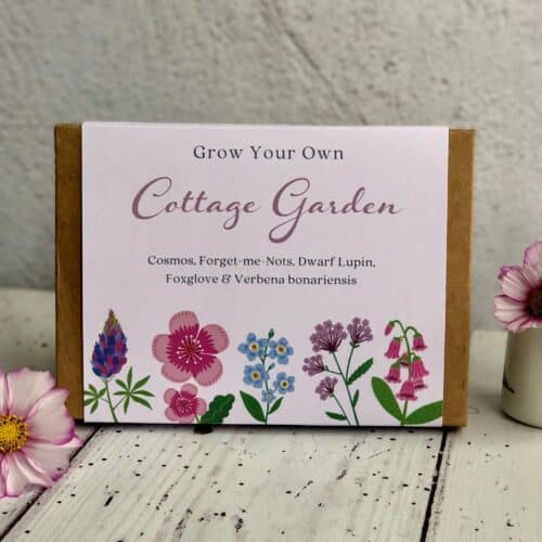 grow your own cottage garden from seed gift box