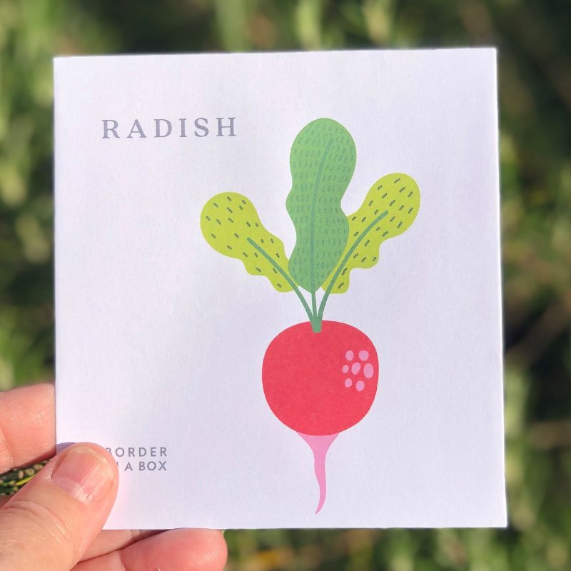 radish seed packet 800 x 800