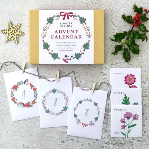 advent calendar front of box seed packets and envelopes