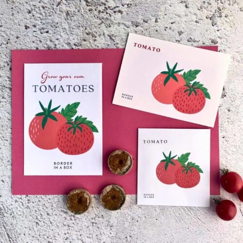 grow your own tomato seed pack, recipe card and coir compost disks