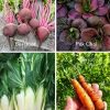 grow your own veg carrots chard beetroot pak choi
