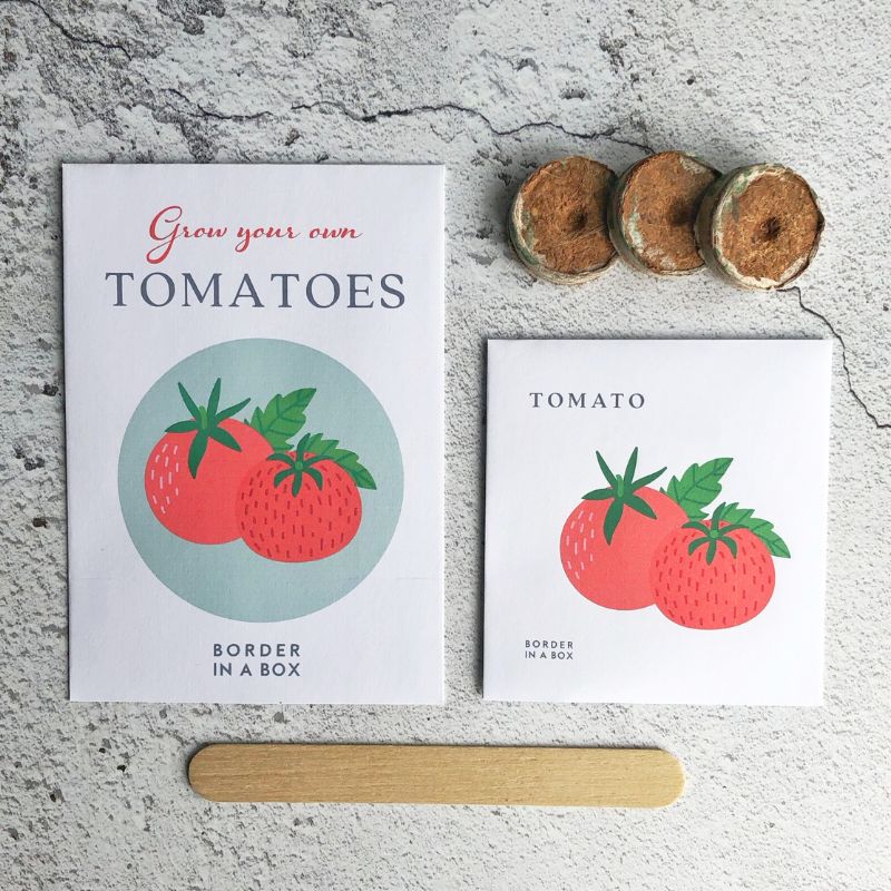 tomato seed kit