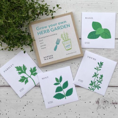 herb garden seed kit