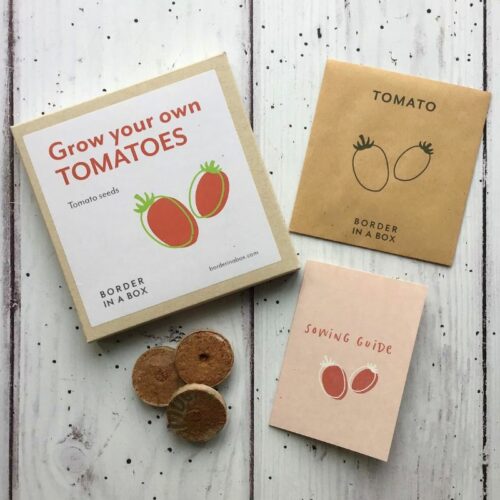 grow your own tomatoes from seed gift box